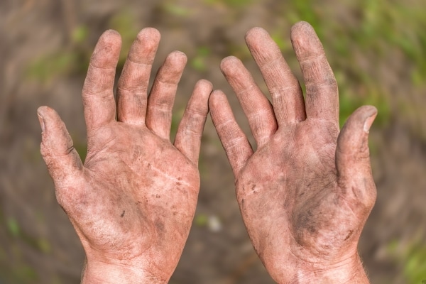 How Often Should You Take A Shower?