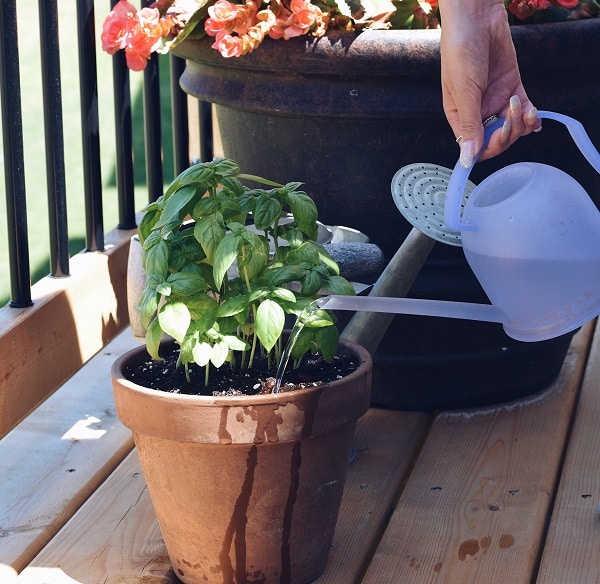 Gardening