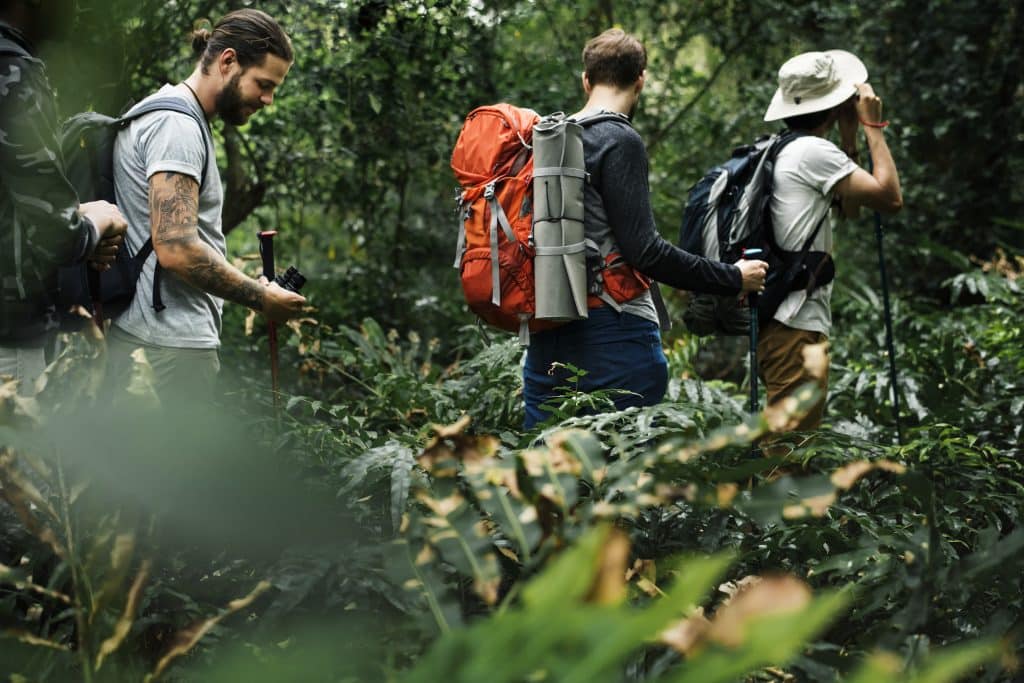 Hiking Trails