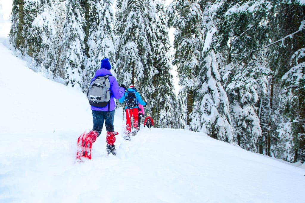 Snowshoeing