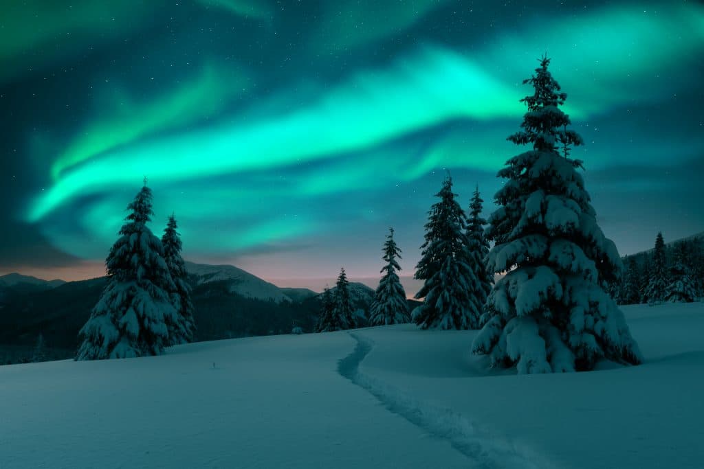 Northern Lights