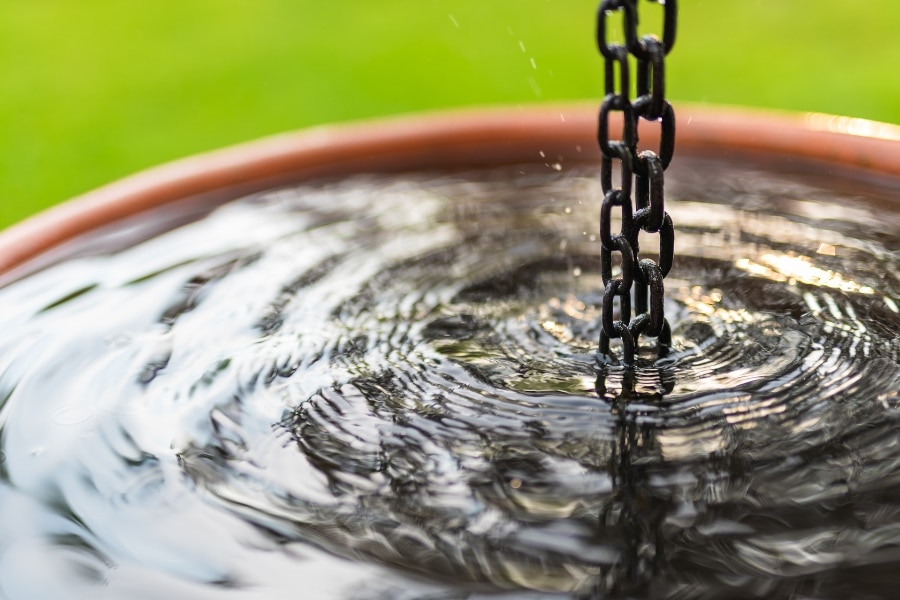 Rainwater Harvesting Methods For Your Home