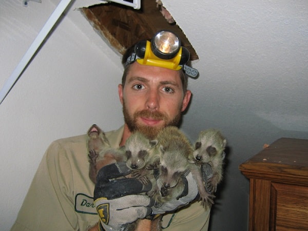 Signs Of A Bug Infestation