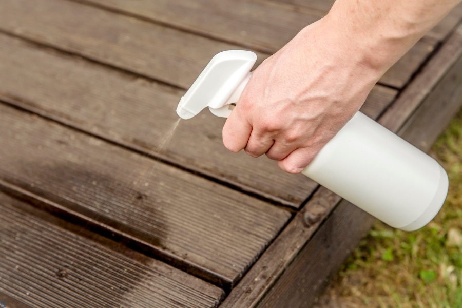 Bug Repellents For Your Home