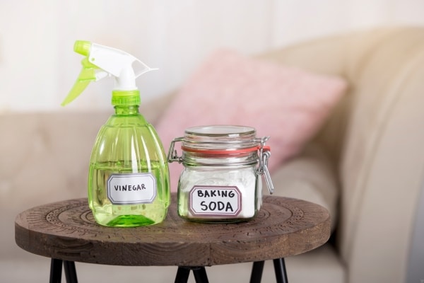 Bug Repellents For Your Home