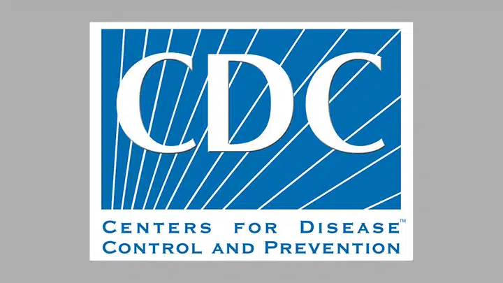 Mosquito-Borne Diseases To Watch For