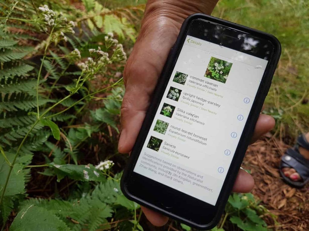 Top 8 Outdoor Apps For Adventurers