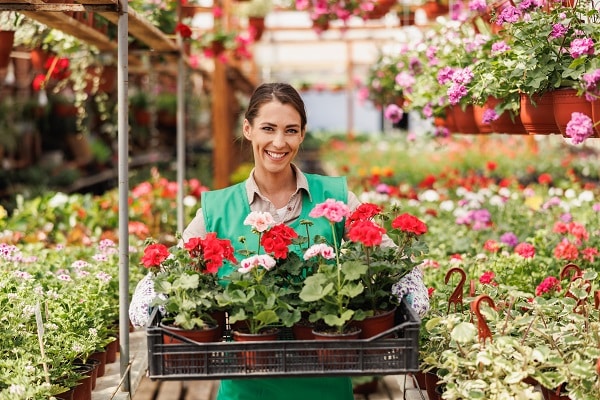Growing Your Own Food