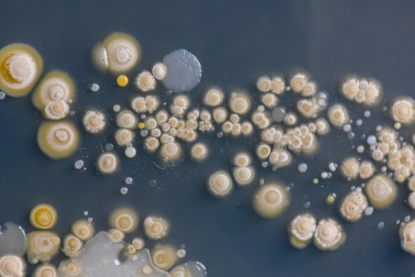 Dangers Hiding In Your Reusable Water Bottle