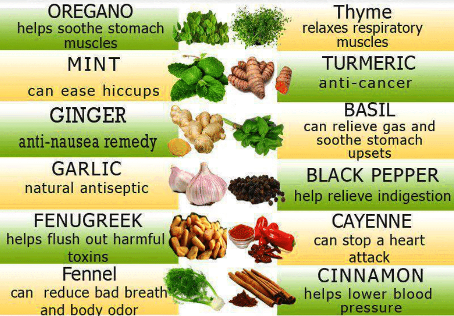 The Art Of Crafting Your Own Herbal Remedies