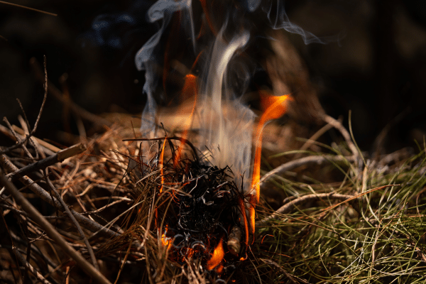 Best Ways To Start A Fire If You Ever Get Stranded