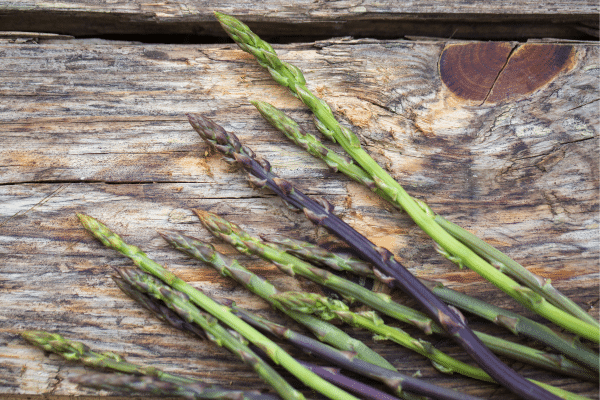 Top Foods To Forage