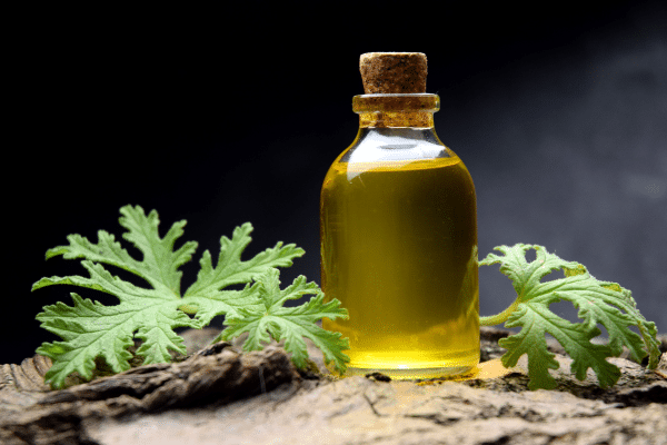 Repel Mosquitoes These 7 Ways