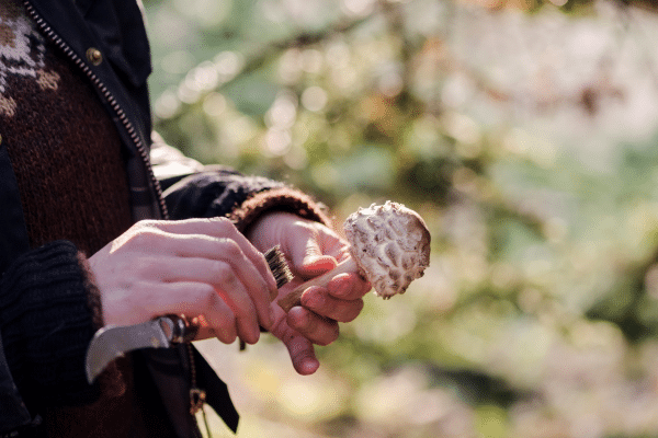 Best Outdoor Survival Hacks