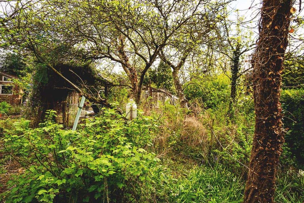 The Harsh Realities of Neglecting Your Backyard