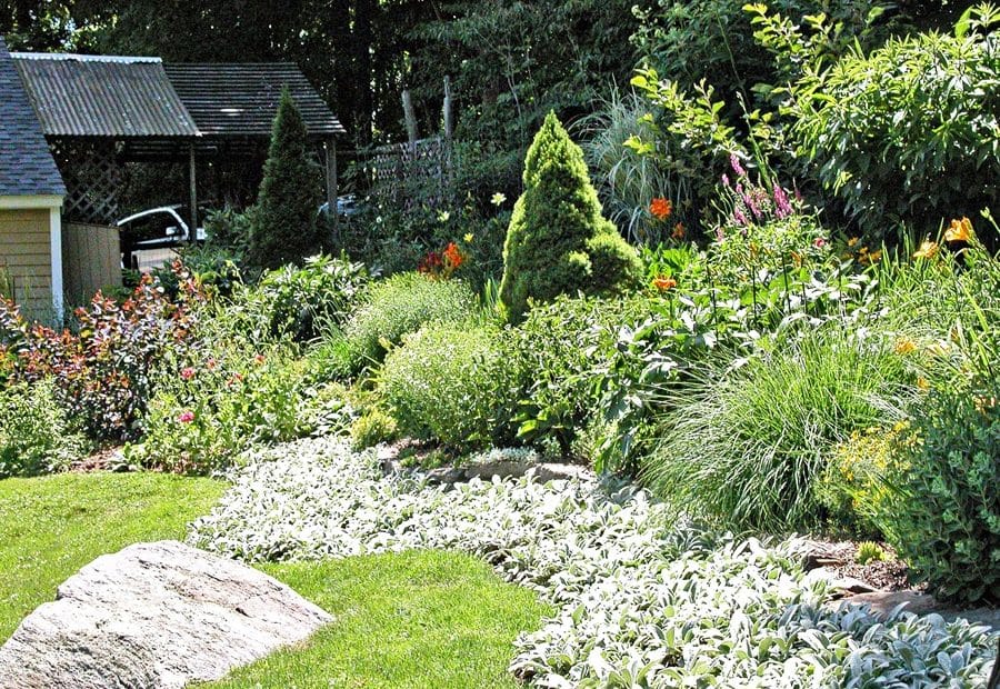 Terrifying Invasive Plants You Might Find in Your Garden