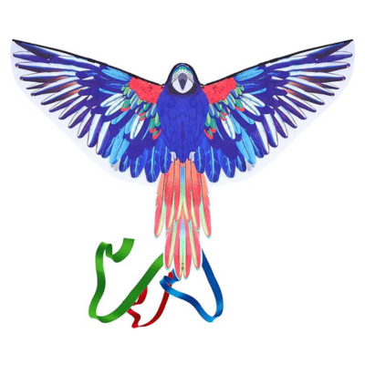 Coolest Kites To Fly