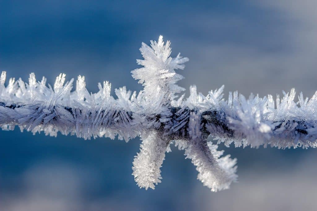 Winter Weather Phenomena: Exploring Nature's Wonders