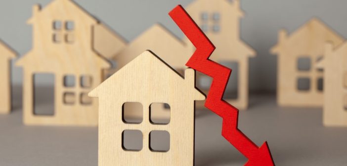 The Harsh Realities of Neglecting Your Backyard