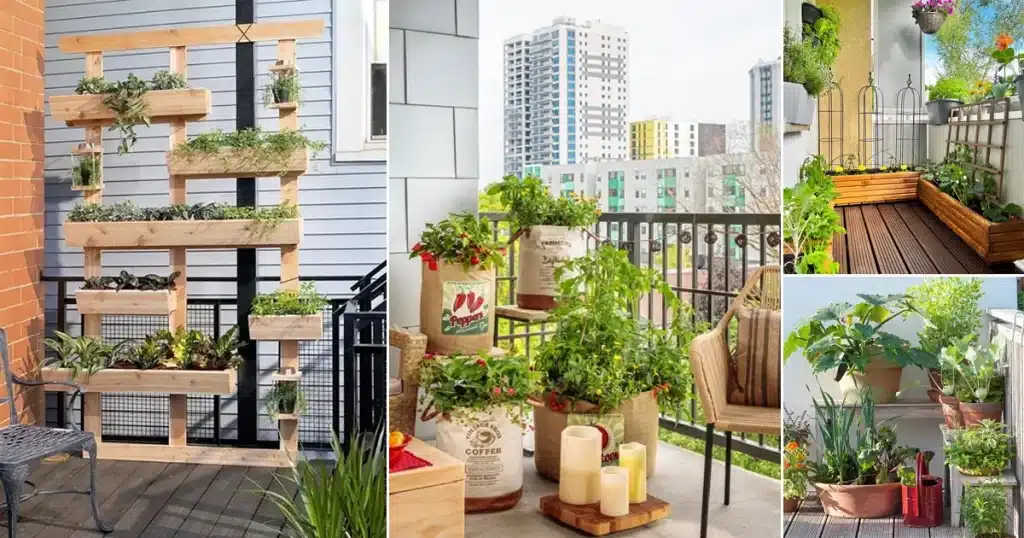Essential Tips for a Thriving Balcony Garden