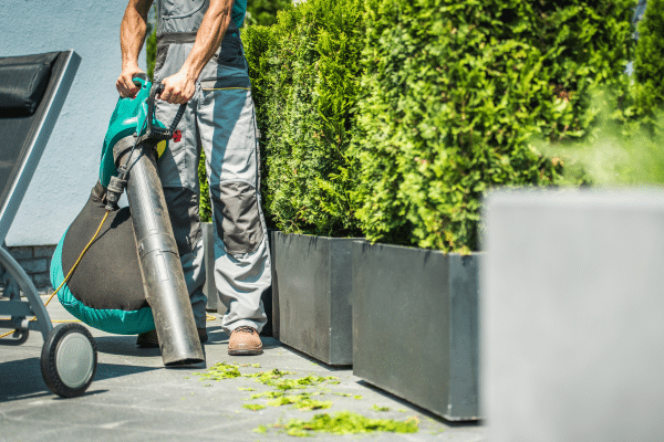 Ways To Clean Up Leaves Fast