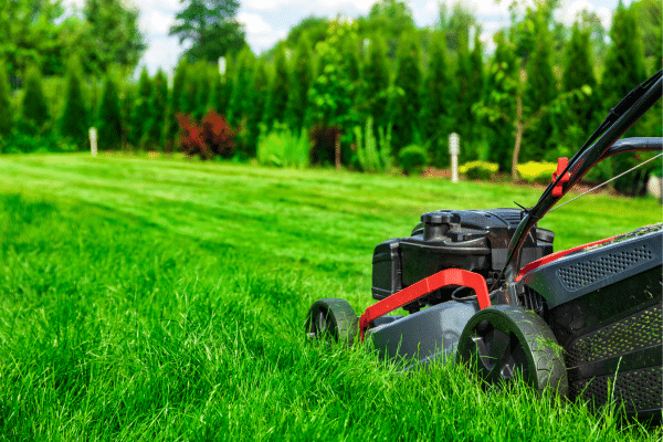 Lawn Care Tips You Should Do Before Winter