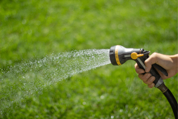 Lawn Care Tips You Should Do Before Winter