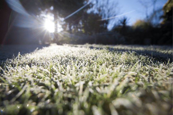 Lawn Care Tips You Should Do Before Winter