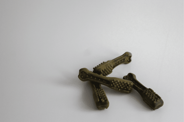 How To Clean Your Dog's Teeth At Home