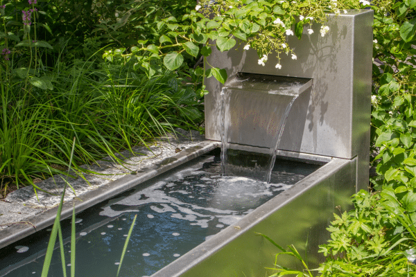 How To Make Your Backyard More Pet Friendly