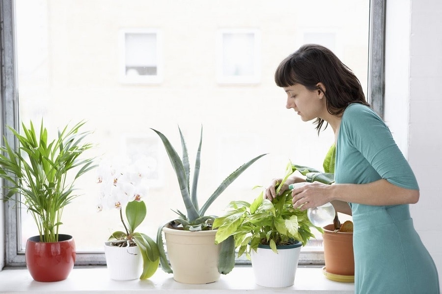 8 Indoor Air-Purifying Practices For A Healthier Living Environment