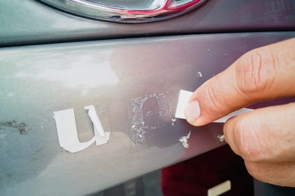 The Magic Of Olive Oil