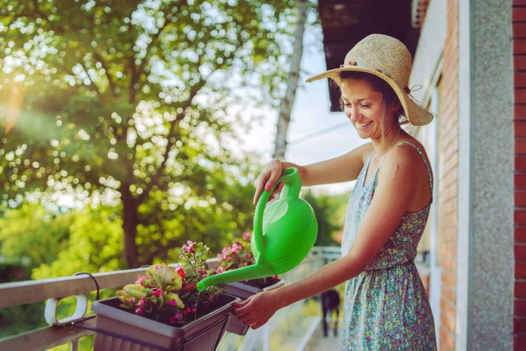 Essential Tips for a Thriving Balcony Garden