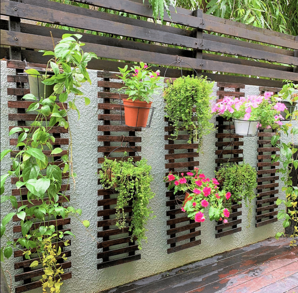 Essential Tips for a Thriving Balcony Garden