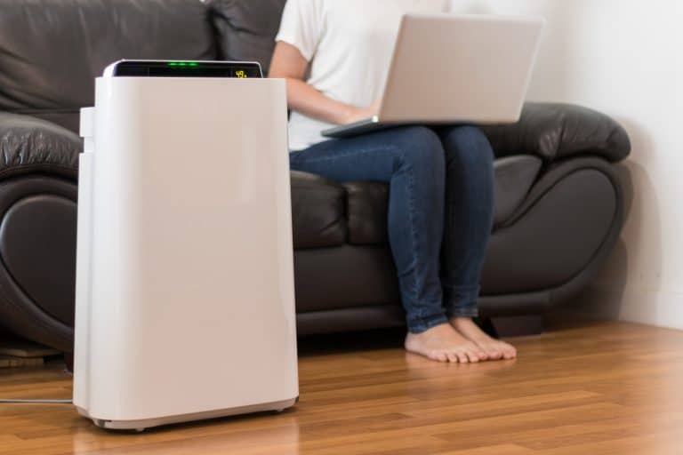 8 Indoor Air-Purifying Practices For A Healthier Living Environment