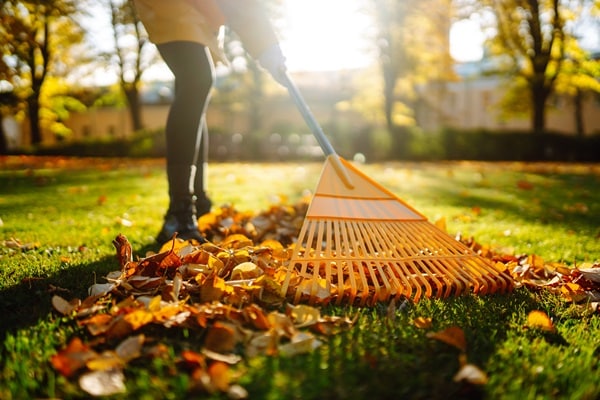 Spring Cleaning Your Outdoor Space