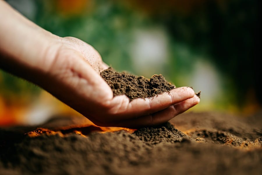 Ways to Enhance Garden Soil