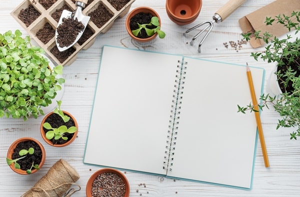 Create a Butterfly Garden