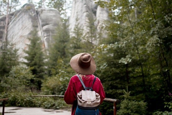 Observe Wildlife in National Parks