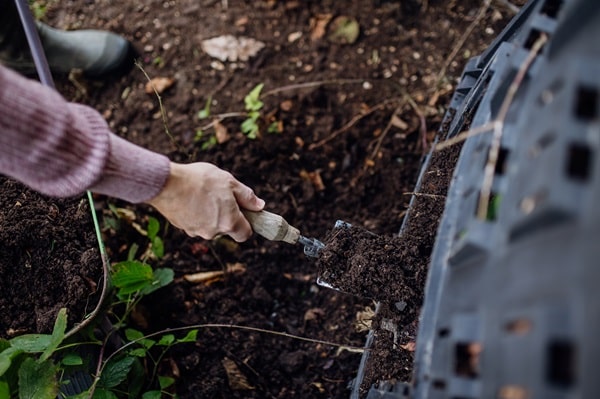 Ingredient That Will Make Your Garden Flourish