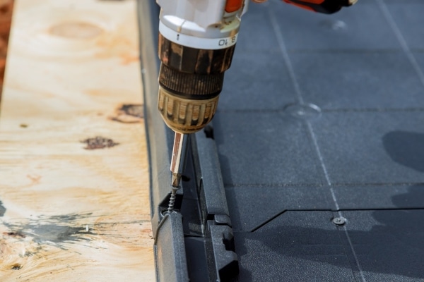 Outdoor Shed a Breeding Ground for Pests