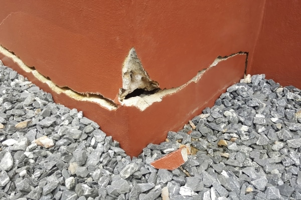 Outdoor Shed a Breeding Ground for Pests