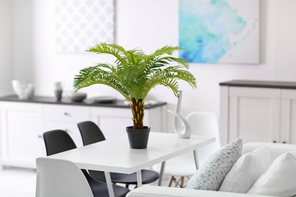 Household Plants That Are Poisonous to Dogs